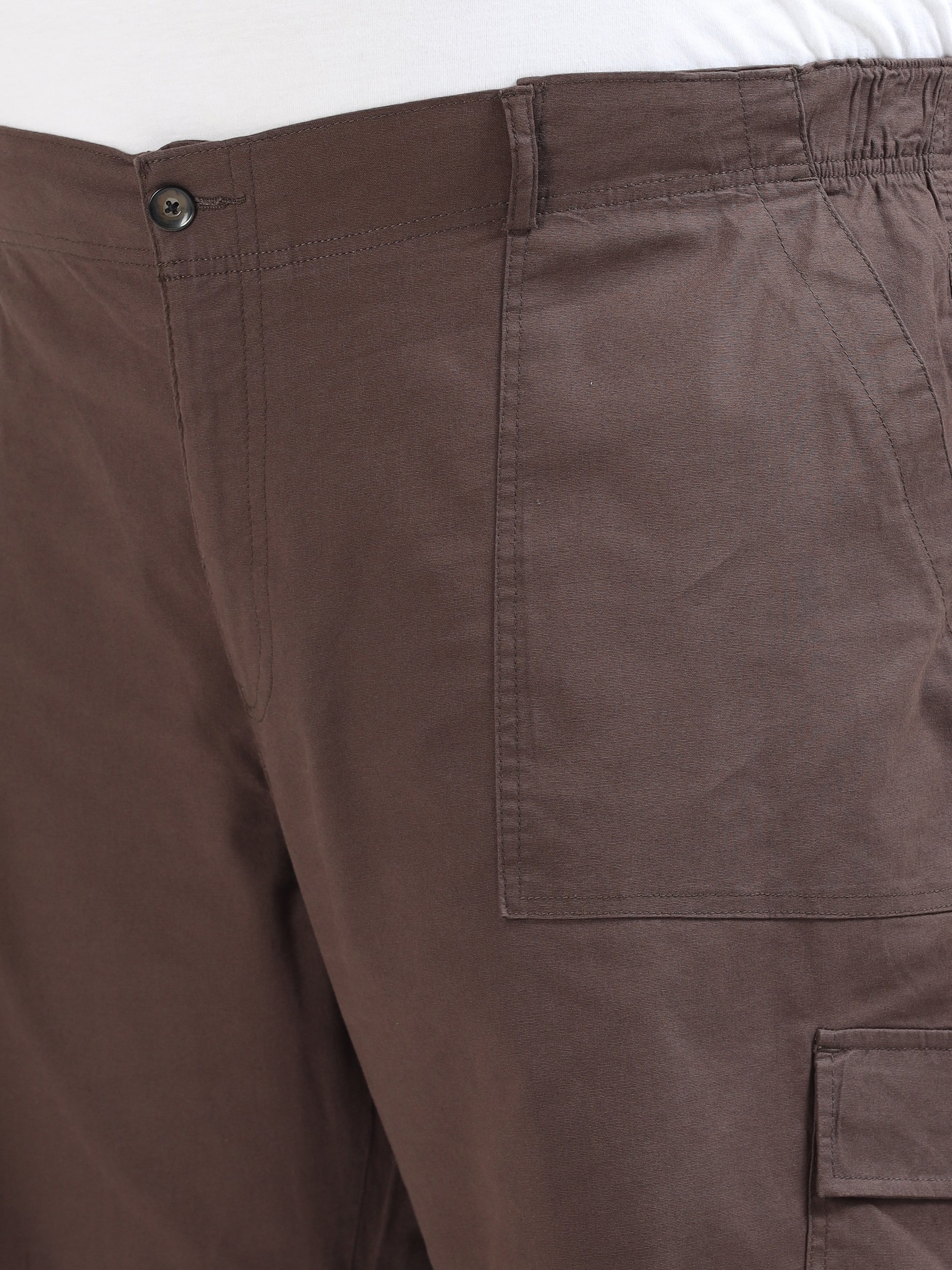 Classic Curve Brown Plus Size Cargo Pants for Men